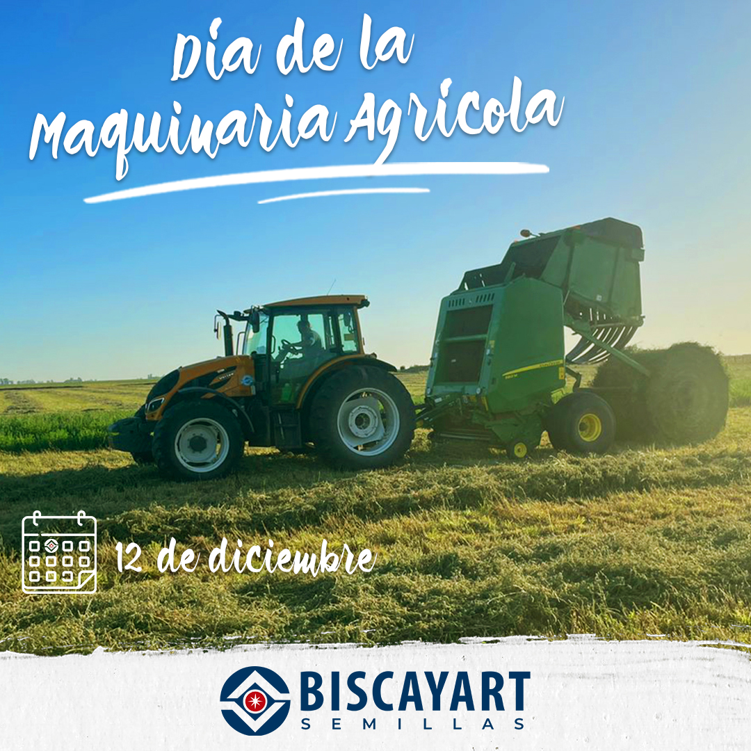 Biscayart Semillas tweet media