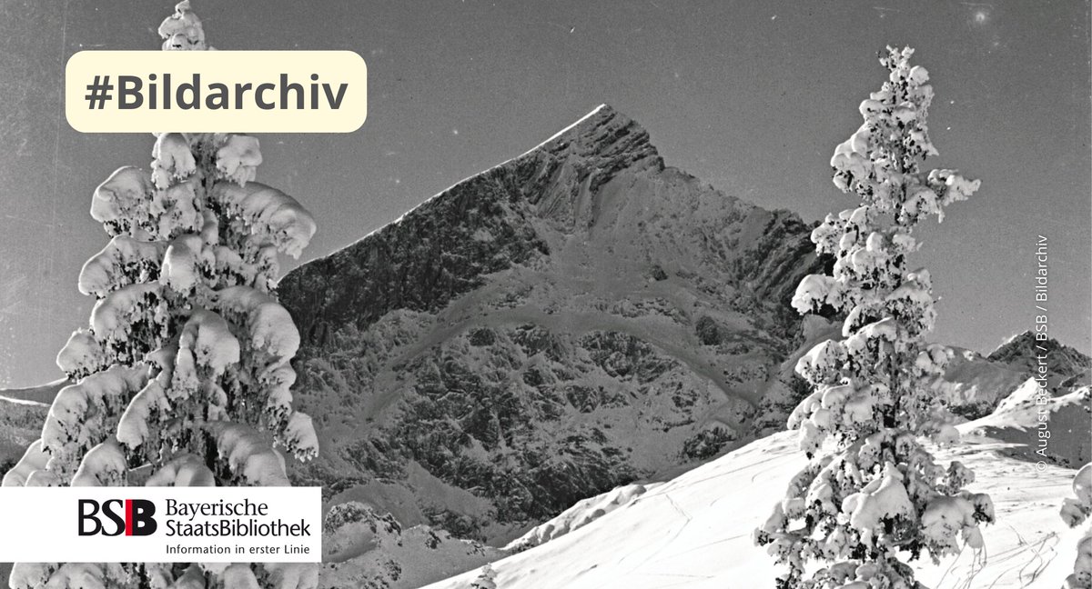 An diesem sonnigen Montag nehmen wir Sie mit zur Alpspitze! ⛰️☀️ Mit seinem pyramidenförmigen Gipfel ist der Berg im #Wettersteingebirge absolut unverkennbar. Festgehalten von August Beckert (1893-1961) #bsbmuenchen #bildarchiv #bsbbildarchiv bildarchiv.bsb-muenchen.de/search?id=ansi…