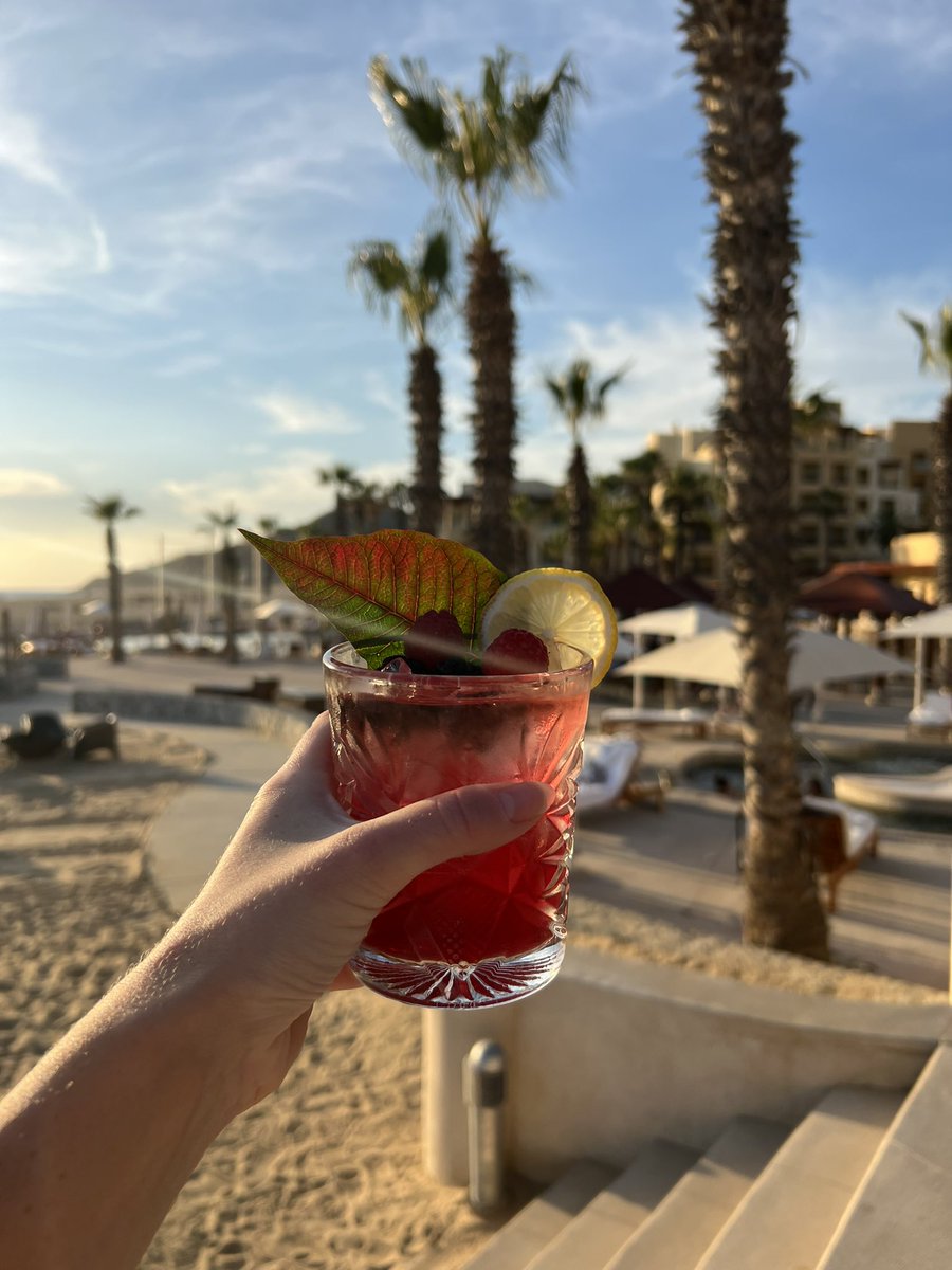 Hannah Gregg 🇺🇸 tweet media