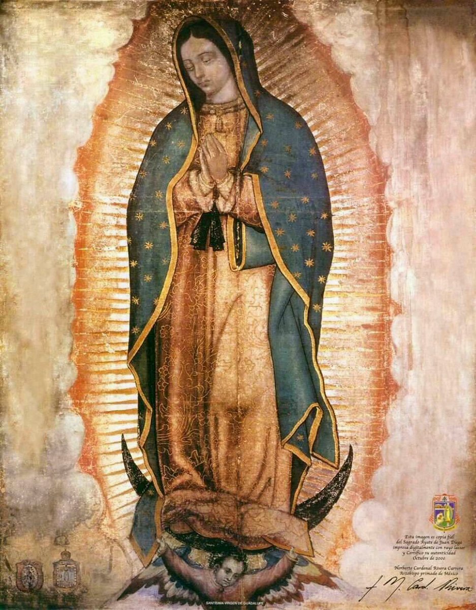 HnaAliciaEMSCJ's tweet photo. "*Acaso no estoy yo aquí, que soy tu Madre?"
#VirgendeGuadalupe https://t.co/CJqJQ4IaFC