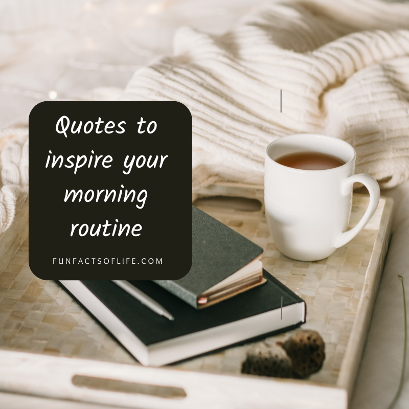 BusinessonM's tweet photo. 6 Quotes to Inspire Your Morning Routine.
https://t.co/dbr2QGosY8
#healthiswealth #healthandwellness #factsoflife https://t.co/2RmJ9EBRy2