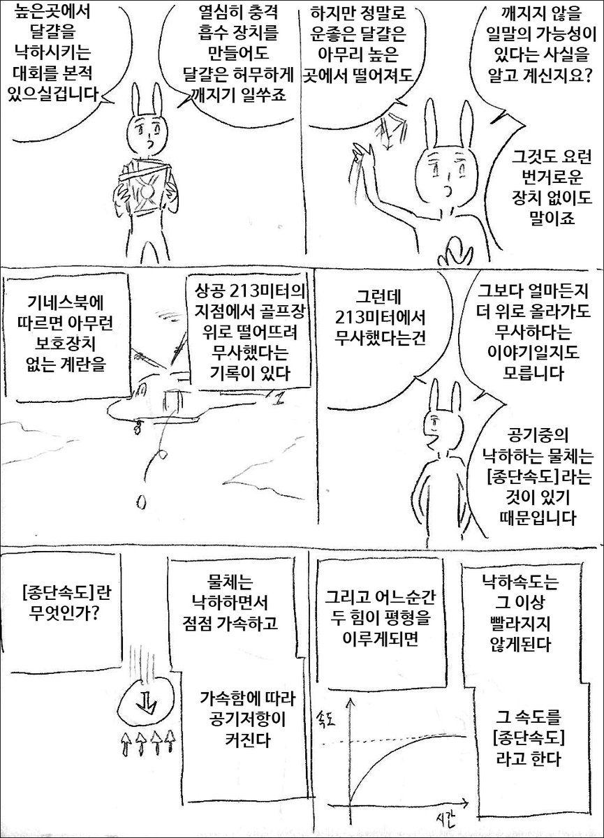 운 좋은 달걀 