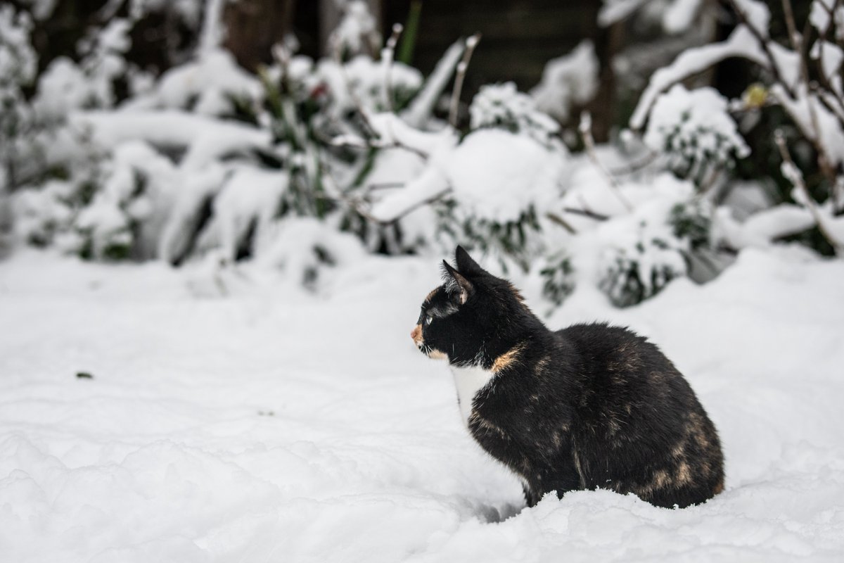 Lenny Martin tweet media