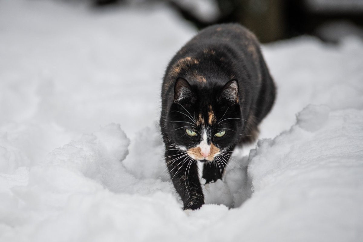 Lenny Martin tweet media