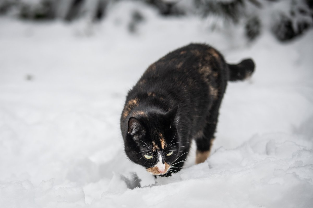 Lenny Martin tweet media