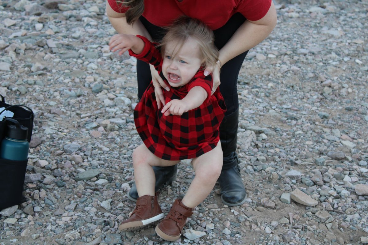 daisylaree_'s tweet photo. The reality of family photo sessions https://t.co/R5vHb3z8yJ