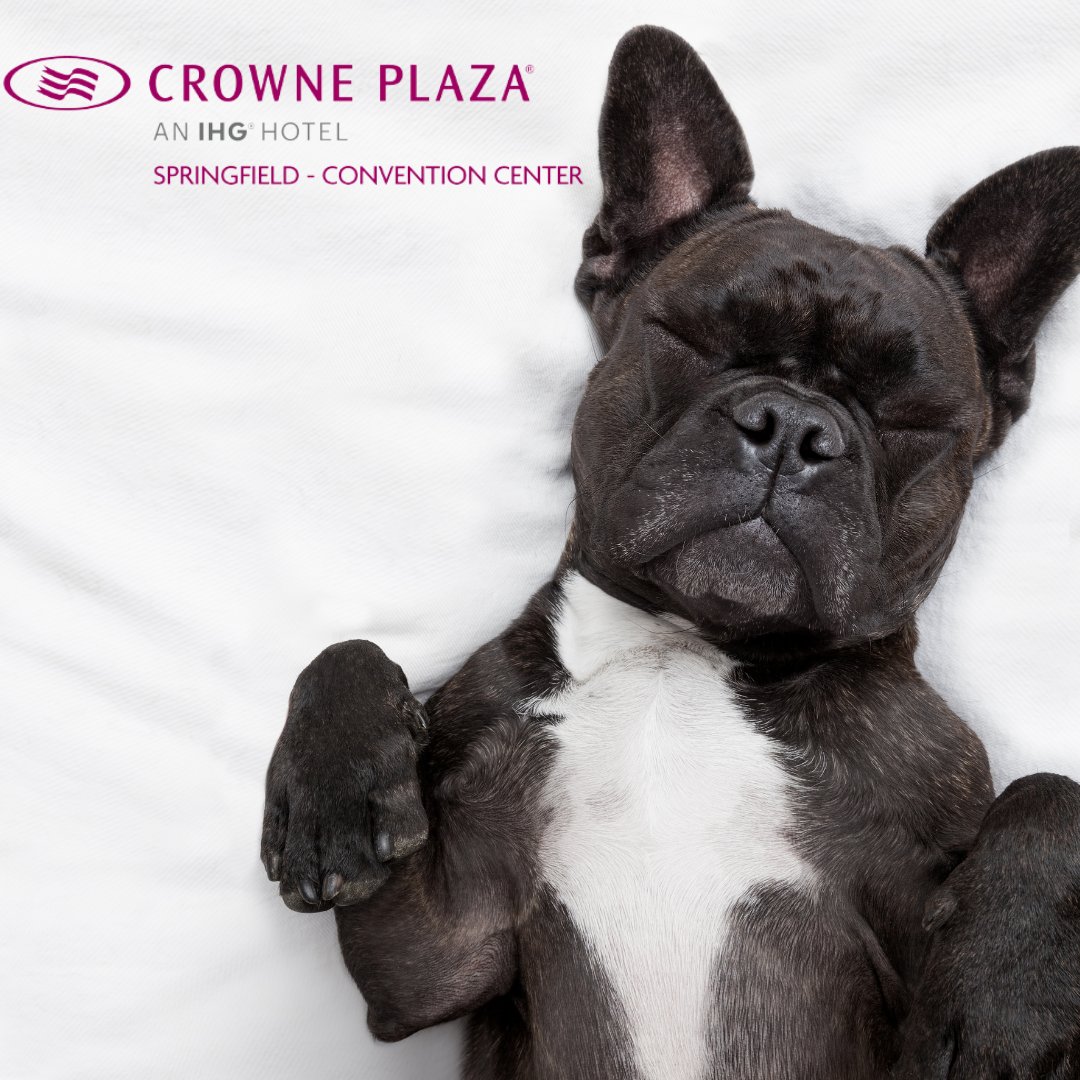 This season it’s time to travel with the whole family! Book our pet package and save big this holiday season with a discount on our standard pet fee. 🐶