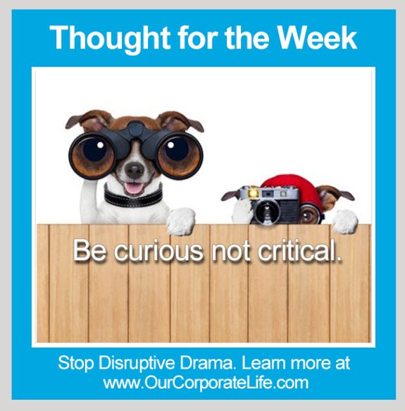 Amanda Mitchell tweet media