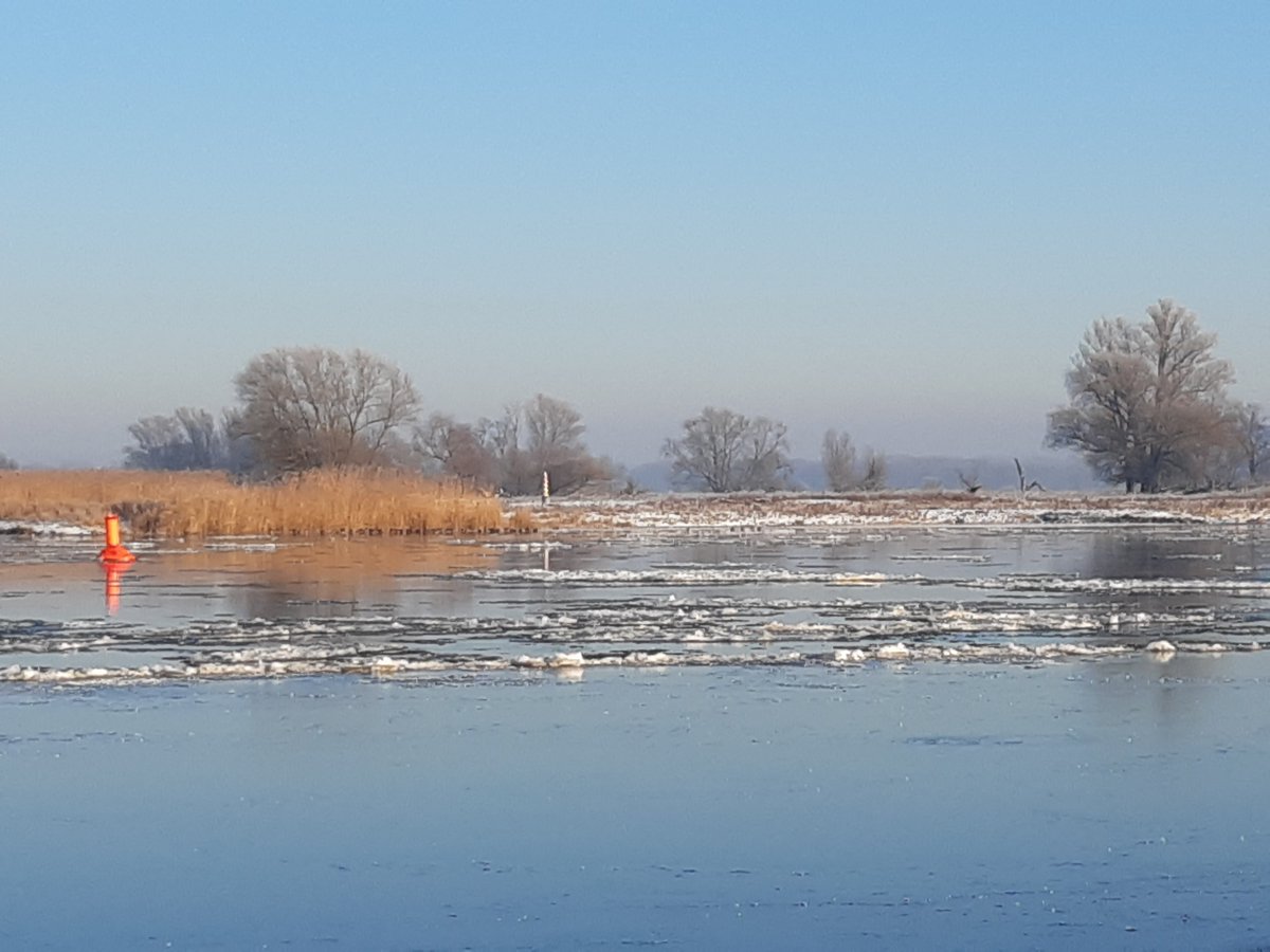 kammerunion's tweet photo. Schön, dass hier beim Einsatz der #Eisbrecher für den #Hochwasserschutz an der #Oder die #deutsch/#polnisch|e #Zusammenarbeit funktioniert.
Danke @RZGWSzczecin, @WodyPolskie, #WSA-Oder/Havel, @gdws_wsv_presse ! https://t.co/lGv02JGDQ8