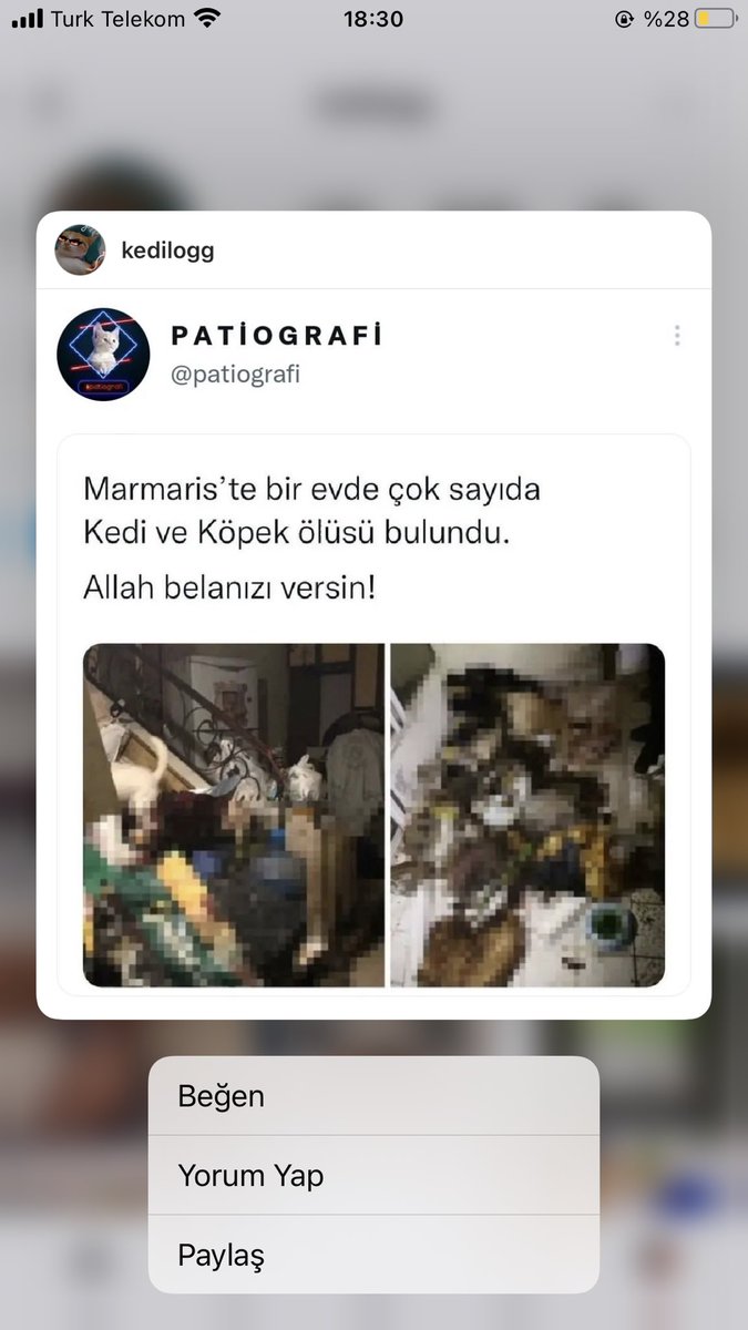 Evde çok sayıda kedi ve köpek ölüsü bulundu

Muğla’nın Marmaris ilçesine bağlı Armutalan Mahallesi’nde bir evde çok sayıda ölü kedi ve köpek bulundu.

Edinilen bilgiye göre, Armutalan Mahallesi’nde H.A. isimli şahsın evinde çok sayıda ölü kedi ve köpek <a href="/mrmrs_kymkmlk/">Marmaris Kaymakamlığı</a>