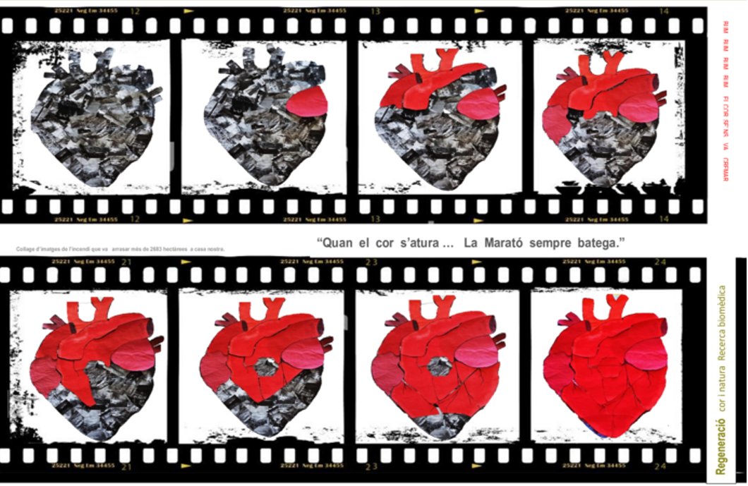 L'Institut <a href="/elsplanells/">INS Els Planells</a> d’Artesa de Segre guanya el concurs "Pinta La Marató" del 2022. L'obra dels alumnes de 1r d'ESO escollida entre 330 cartells 
 ♥️ #LaMaratoSempreBatega 

ccma.cat/tv3/marato/lin…