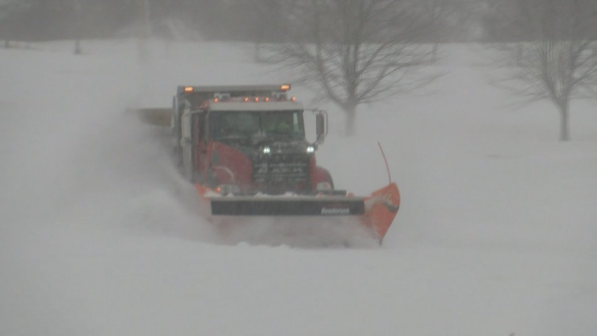 Joe Paul tweet media