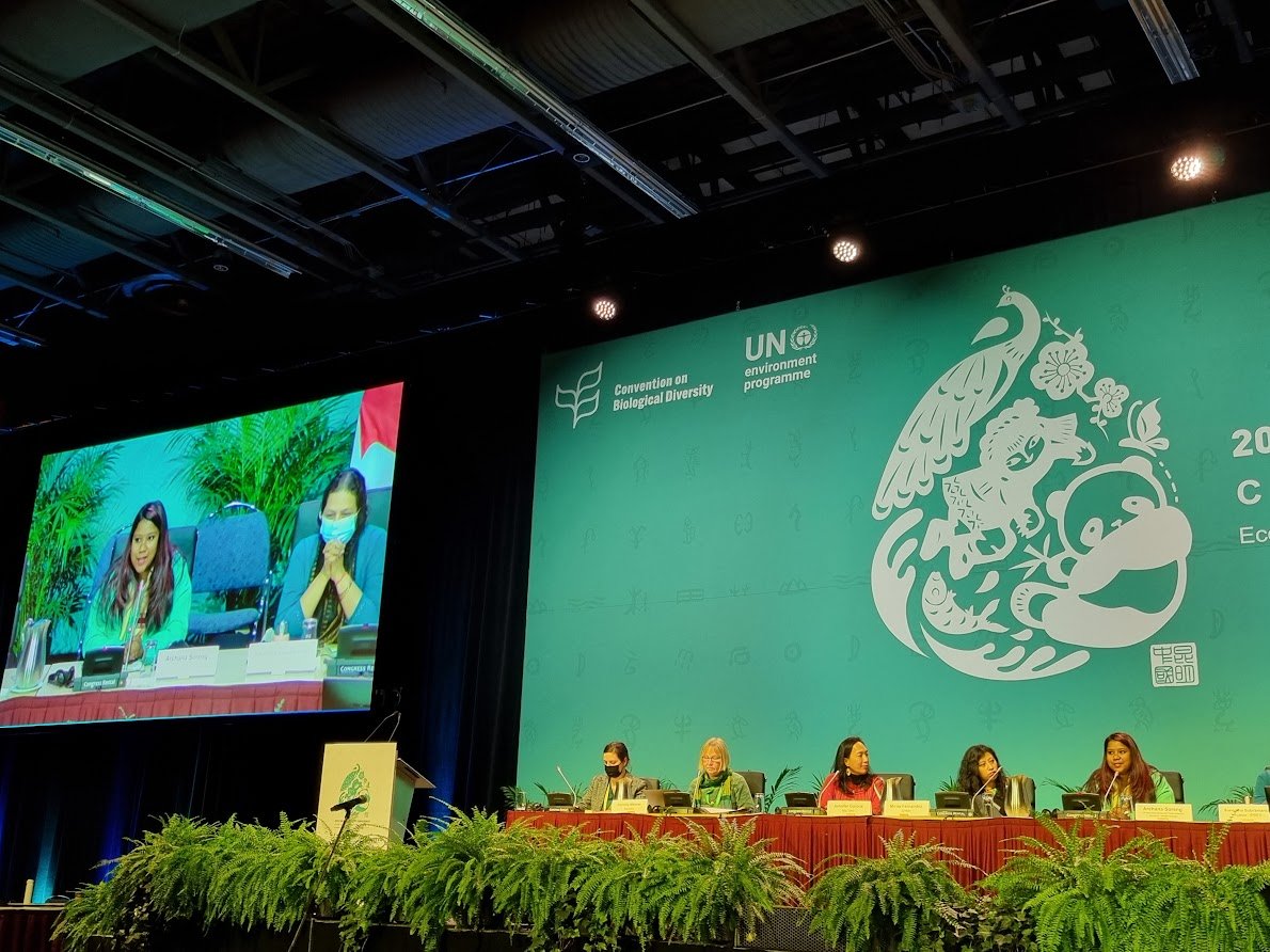 UN Secretary-General’s @YAGClimate, @SorengArchana is at the #NatureandCultureSummit to share what it means to be Nature. @CBD_COP15 @UNBiodiversity