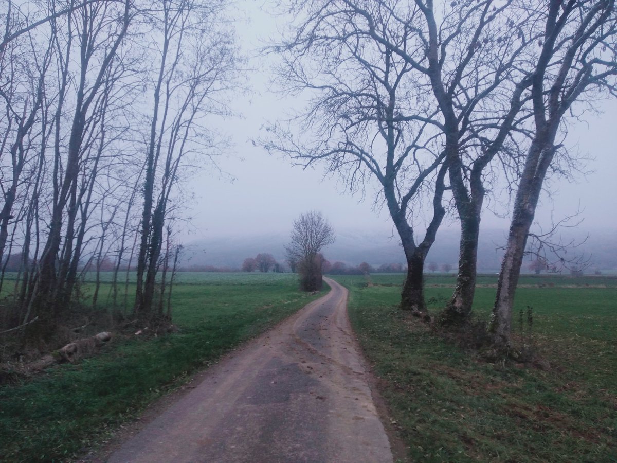 Caprices2Riches's tweet photo. J'aime l'hiver ❄️
#cacaille https://t.co/oyA5AOAT8r