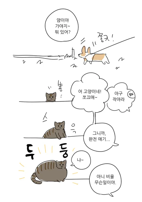 오늘 본 고양이 