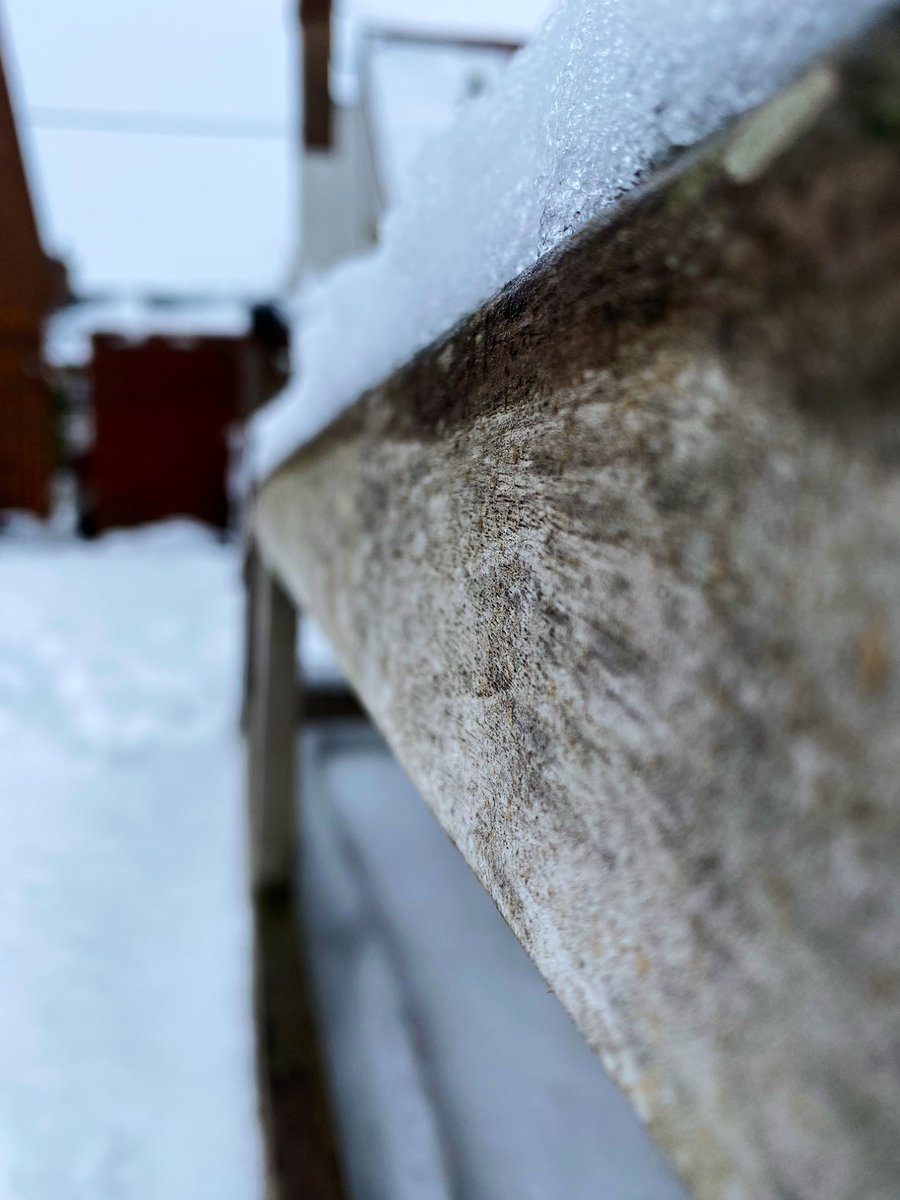 Art_bchs's tweet photo. Hope everyone has enjoyed the snow, check out some excellent snowy day photography taken today by our talented students.#LoveArt #LoveBCHS #LifeAtOsborne 🌨❄️🍃 https://t.co/AFluEdOnwG
