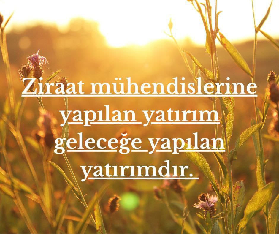merbasz2's tweet photo. #Ziraate15Bin6liMasa
GELECEK Partisi Cihanbeyli İlçe Başkanlığı olarak.Atama bekleyen Ziraat Mühendislerimizin. Yanındayız!!
@profaliakmaz 
@HASANEKC1 
@BMustafaGozel 
@HuzunSaz 
@cumaicten https://t.co/CQkE2wXFOB