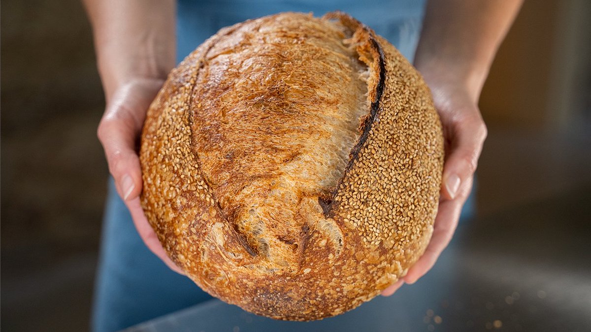 Learn to make GREAT #SOURDOUGH BREAD! My new course is open for PRESALE -- get the juicy discount here: courses.truefood.tv/courses/make-g… #sourdoughbread
