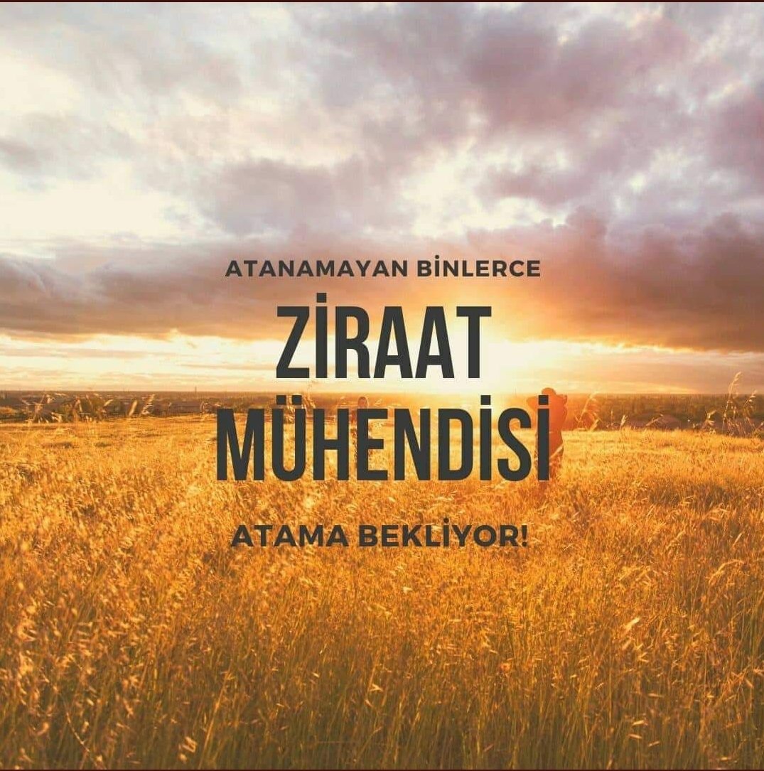 Ali KOÇ 🇹🇷 (@alikoc_zmo) on Twitter photo 