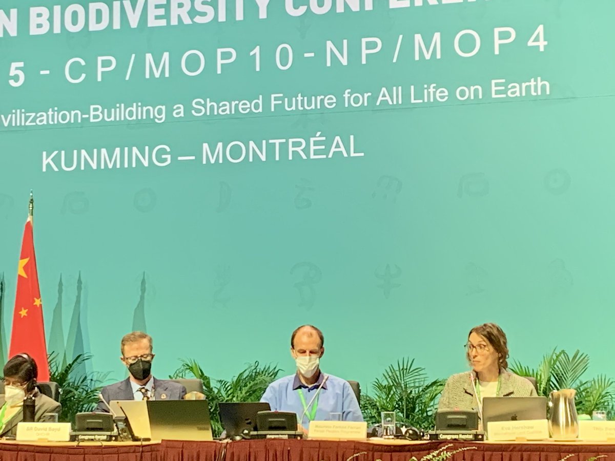 lifelanddignity's tweet photo. @eva_hershaw to #COP15 on how Landex and the work of @landcoalition members for people-centred data can contribute to understanding diverse perspectives on #landrights https://t.co/8XLSYiXkDe