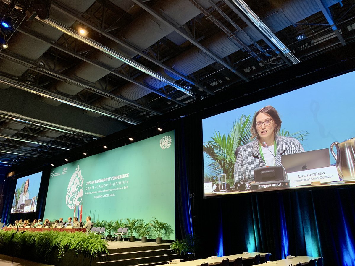 lifelanddignity's tweet photo. @eva_hershaw to #COP15 on how Landex and the work of @landcoalition members for people-centred data can contribute to understanding diverse perspectives on #landrights https://t.co/8XLSYiXkDe