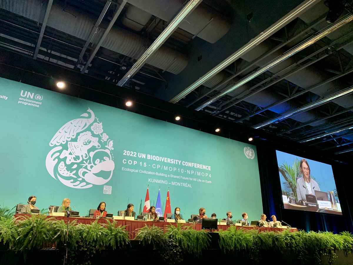 lifelanddignity's tweet photo. @eva_hershaw to #COP15 on how Landex and the work of @landcoalition members for people-centred data can contribute to understanding diverse perspectives on #landrights https://t.co/8XLSYiXkDe
