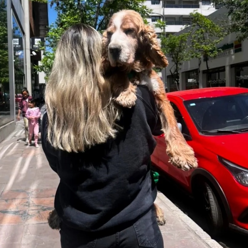 VicoLarroude's tweet image. Te amo para siempre hijo ❤️🐶👼 
13 años no fueron suficientes, daría lo que fuera por volverte a abrazar.