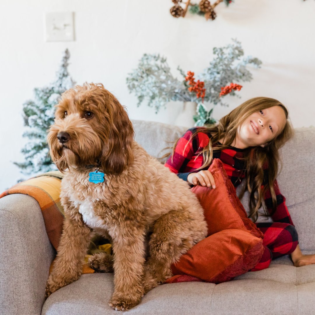 Many people are struggling to care for their pets. By supporting @the_Blue_Cross this Christmas, you could help us to take care of more homeless pets, until we can find them the perfect new home: bluecross.org.uk/support