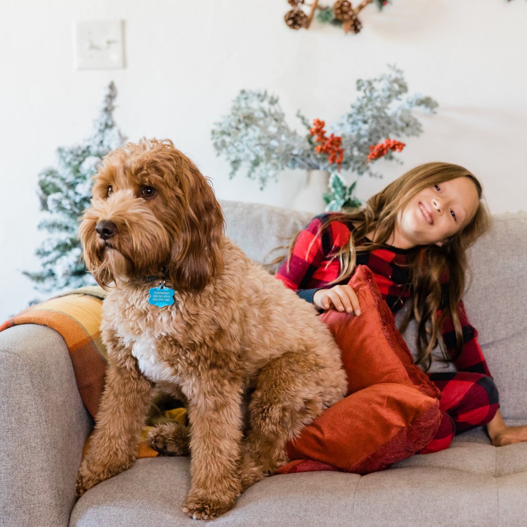 Many people are struggling to care for their pets. By supporting <a href="/the_Blue_Cross/">Blue Cross UK</a> this Christmas, you could help us to take care of more homeless pets, until we can find them the perfect new home: bluecross.org.uk/support