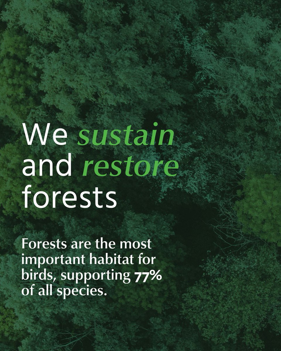 BirdLife International tweet media