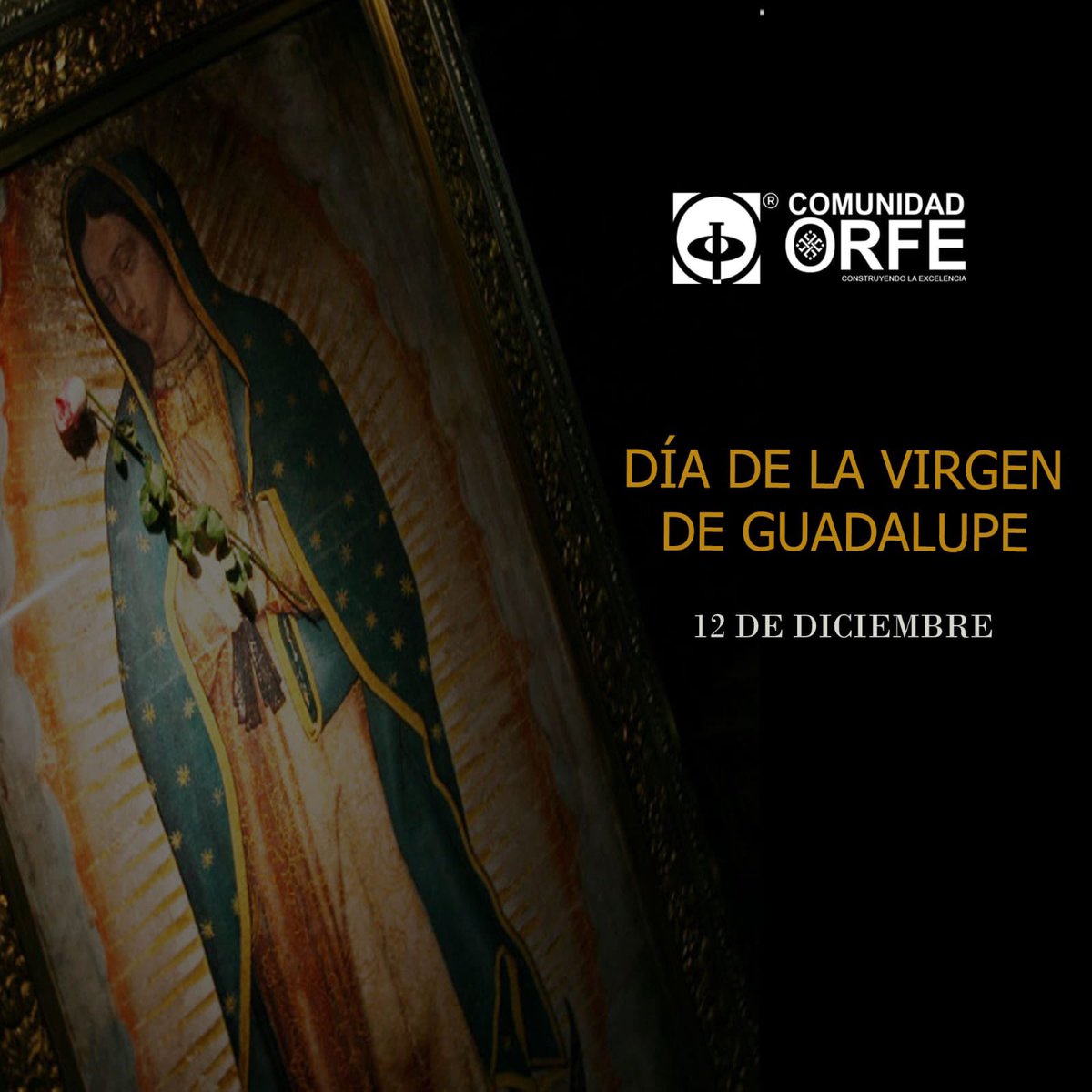 CARLOS ORFE tweet media