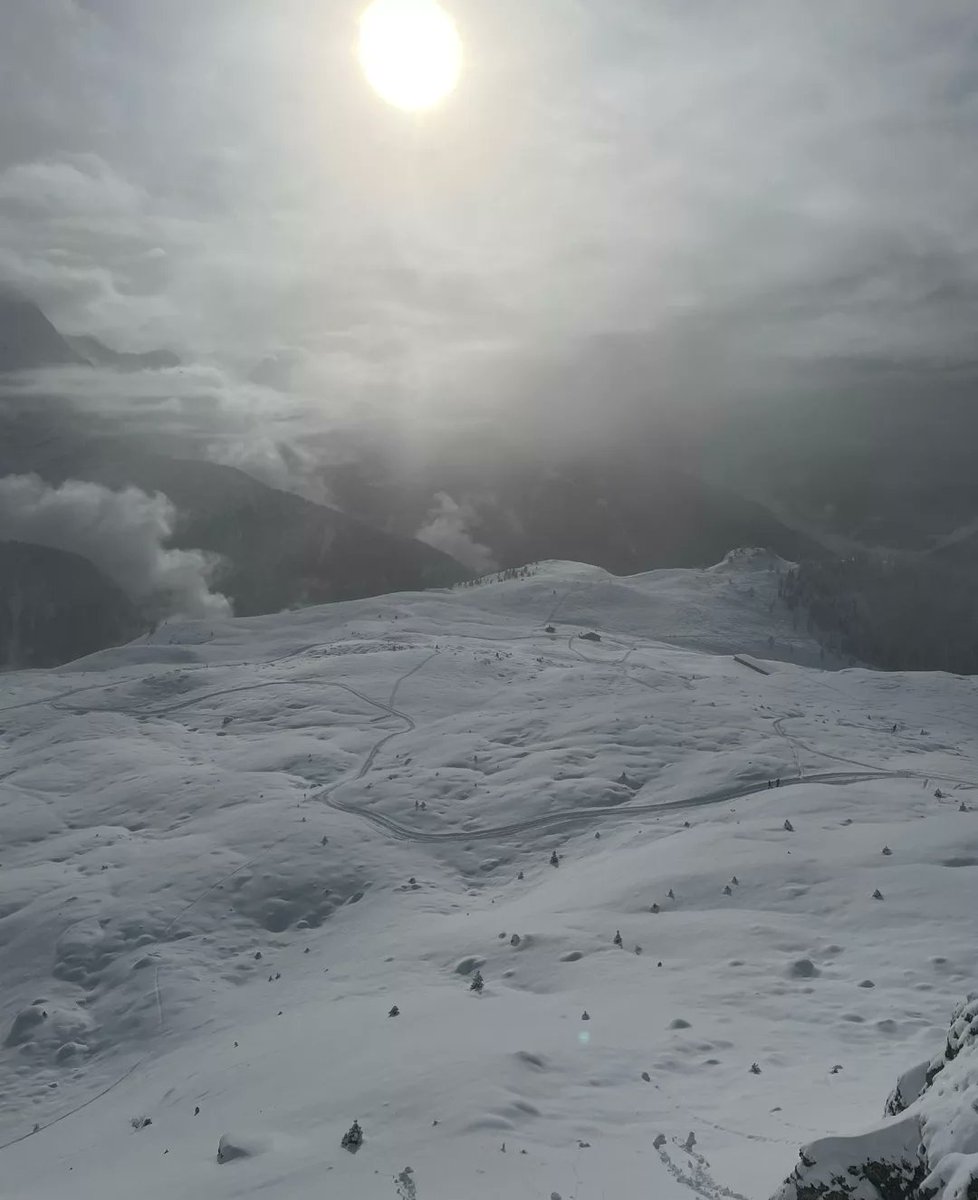 Andrea Ranocchia tweet media