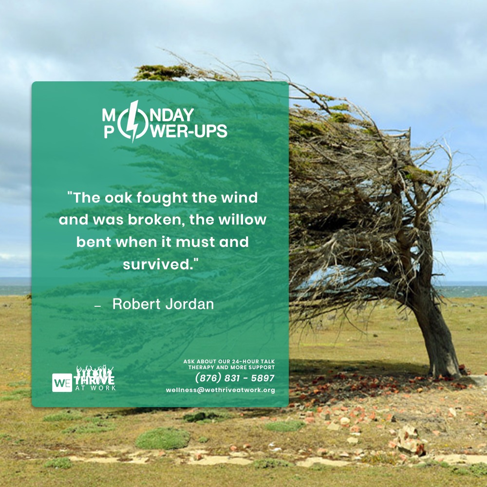 Happy Monday! Let us start a fresh work week with the mentality of a willow. We will be adaptive in our approach while being steadfast in achieving our goals, regardless of the difficulties that may come over the week. Have a fantastic week!

#MondayPowerups