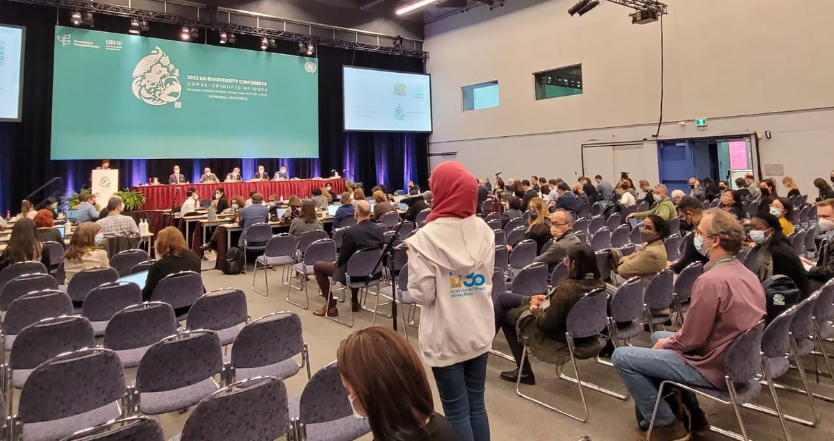 OSS_Comms's tweet photo. .@OSS_Comms took part in the Science-Policy Forum for Biodiversity at #COP15
#Scientists, #decision_makers and stakeholders discuss on how #science, #technology and #innovation can contribute to the effective implementation of the #post_2020 global #biodiversity framework. https://t.co/yRQ7Qon2Da