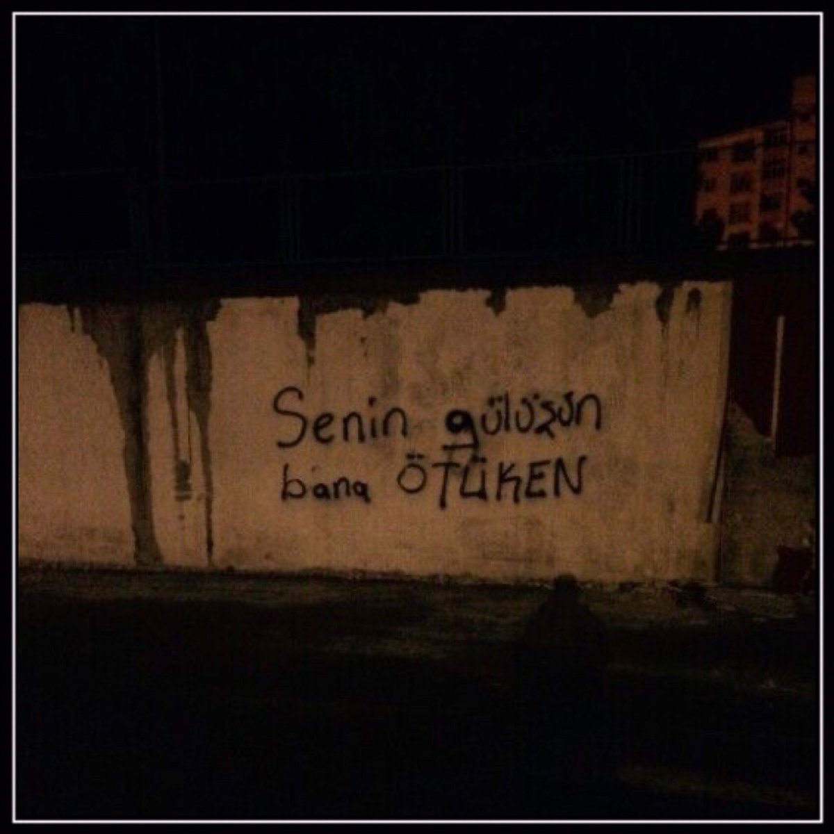 Turk_Kaganligi's tweet photo. Senin gülüşün bana ÖTÜKEN. ♥️🐺 https://t.co/4htmJPLX4C