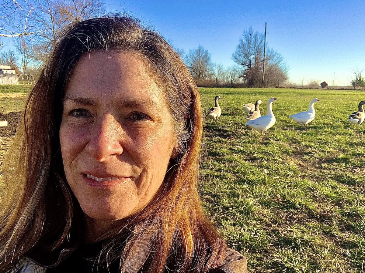 LConservancy's tweet photo. Join us Live on our Facebook next Tuesday, December 20 at 2 pm ET for a conversation about Cotton Patch geese with Audrey Morris, a 2020 recipient for our Microgrant program. https://t.co/wRFnN66SWE
#cottonpatchgeese #geese #farmlife https://t.co/Pwip8a9YXX