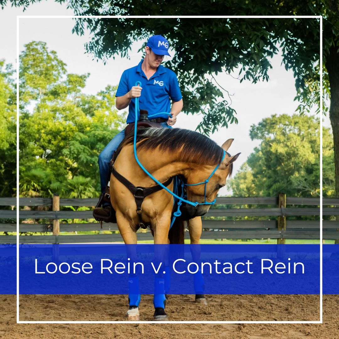 gethorsehelp's tweet image. What’s the difference between loose rein and contact rein? 🤔

I use both in training, but it ultimately depends on what I want to do with that horse.

Which method do you prefer?

#looserein #contactrein #trainingmethod #ride #horsetraining #western #english #gasconhorsemanship