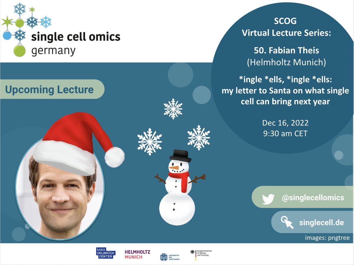 📢Join SCOG Virtual Lecture #50 (Zoom) ⏰ December 16, 9:30-10:15am CET 💬Fabian Theis (@fabian_theis, @HelmholtzMunich, @CompHealthMuc) 💡 '*ingle *ells, *ingle *ells: my letter to Santa on what single cell can bring next year' ✏️ Registration: bit.ly/scogvls #SCOGVLS