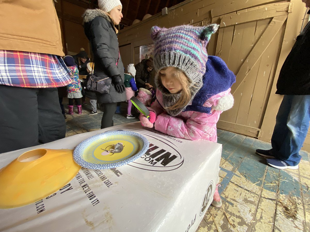 DK Ss learn about predators and prey! <a href="/BHBowersFarm/">Bowers School Farm</a> <a href="/bhschools/">BHSchools</a> <a href="/LonePineSchool/">Lone Pine Elementary</a> <a href="/MaryHillberry/">Mary Hillberry</a>