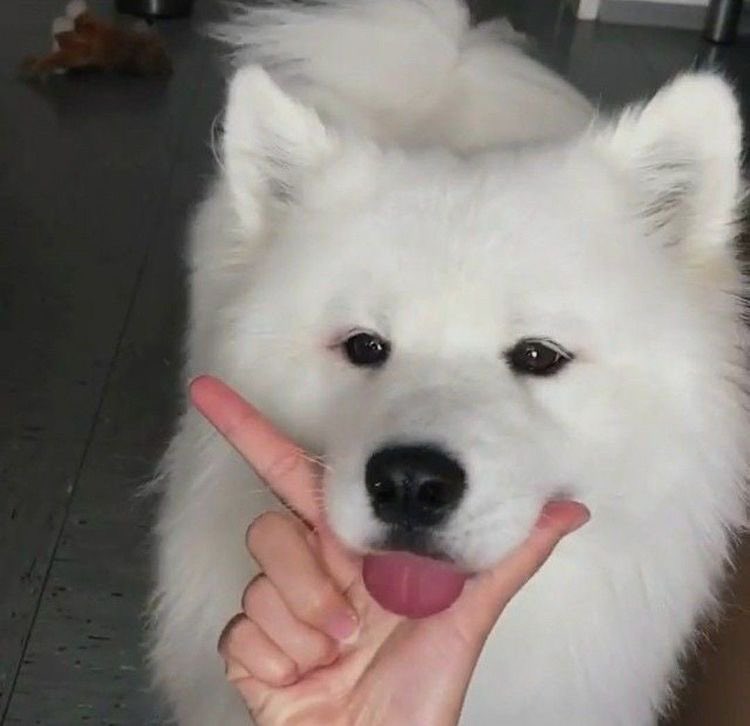 เก๊กหล่อหน่อยค้าบเจ้าทิค