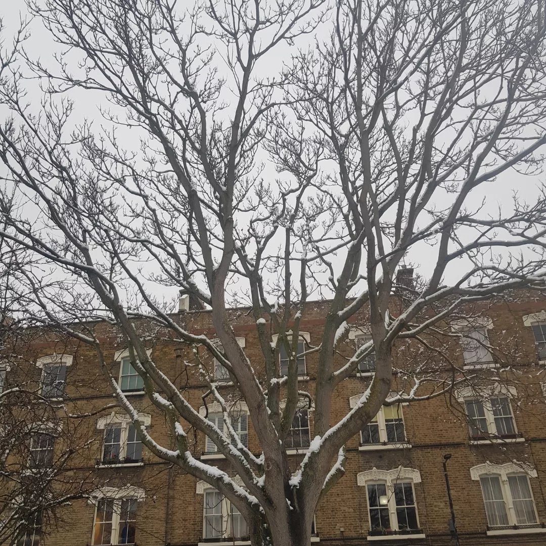 ElephantCafeUK's tweet photo. Snowy Pullens Estate
Walworth, London SE17
❄❄❄❄❄❄❄❄
Looking thro wreath by
@JamJar_Flowers
into Iliffe Yard, and Amelia St
#snowylondon #pullensestate #pullensyards #walworth #SE17 https://t.co/DadbEo9r5J