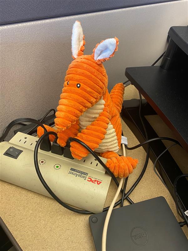 Active Release tweet media