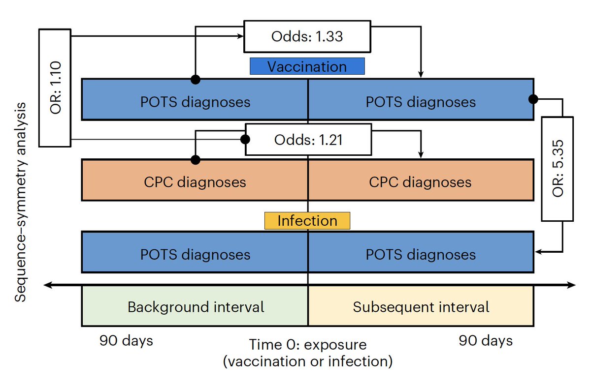Postural orthostatic tachycardia syndrome (POTS) can occur after Covid and in the 90-day period following vaccination. It is 5-fold more common with infection nature.com/articles/s4416… @NatureCVR @CedarsSinai
