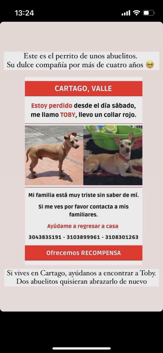 caroramirezquin's tweet photo. Rt 🙏🏻 https://t.co/KXVjhta5ZH