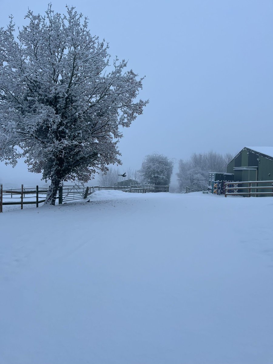 Penniwells RDA (@penniwellsrda) on Twitter photo A snowy day so only one thing to do <a href="/RDAnational/">Riding for the Disabled Association (RDA)</a> <a href="/sarahpenniwells/">Sarah Healing</a> A snowy day so only one thing to do <a href="/RDAnational/">Riding for the Disabled Association (RDA)</a> <a href="/sarahpenniwells/">Sarah Healing</a>