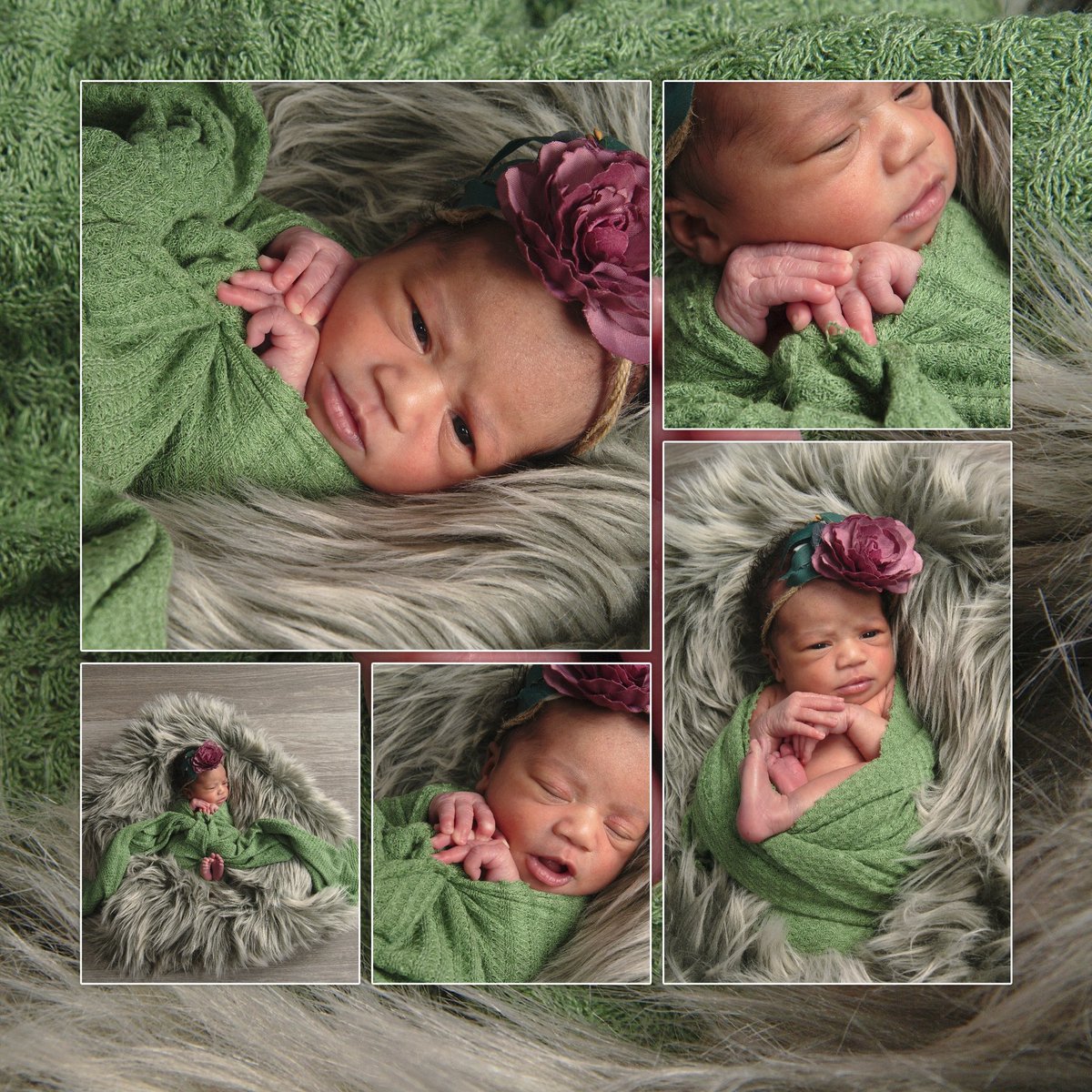 Maia’s Mommy🎀✨ tweet media