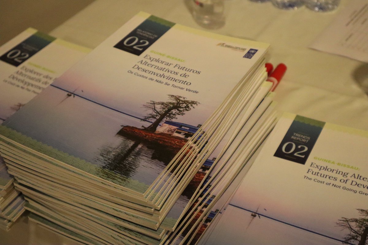 UNDP Guinea-Bissau tweet media