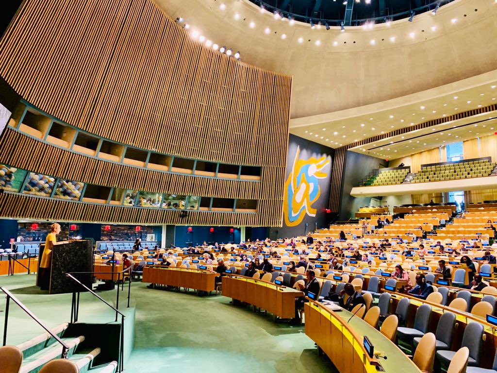 Today 🇸🇪 presented a draft resolution on the circumstances of #DagHammarskjöld’s tragic death. 

The Eminent Person’s latest report sheds light on important new information. We encourage all MS to co-sponsor this resolution extending the investigation.

→ swedenabroad.se/en/embassies/u…