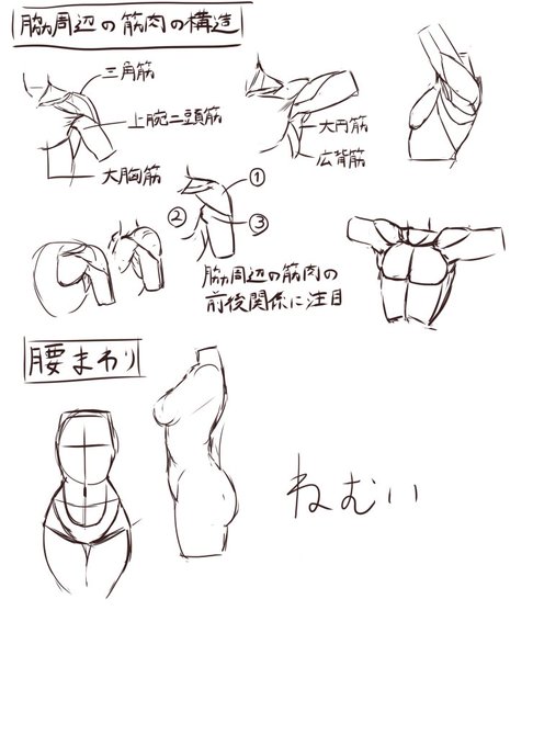 76日目
ちょっぴりHなおんなのこの描き方の模写 