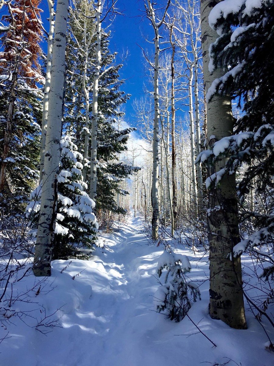 Fish Creek Falls—Steamboat, Colorado